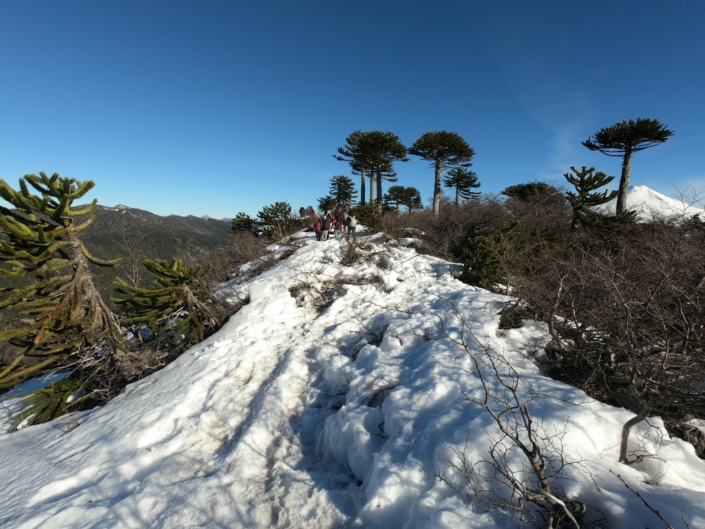 Sendero Sierra Nevada Parque Nacional Conquillio