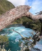 Saltos del Río Petrohué