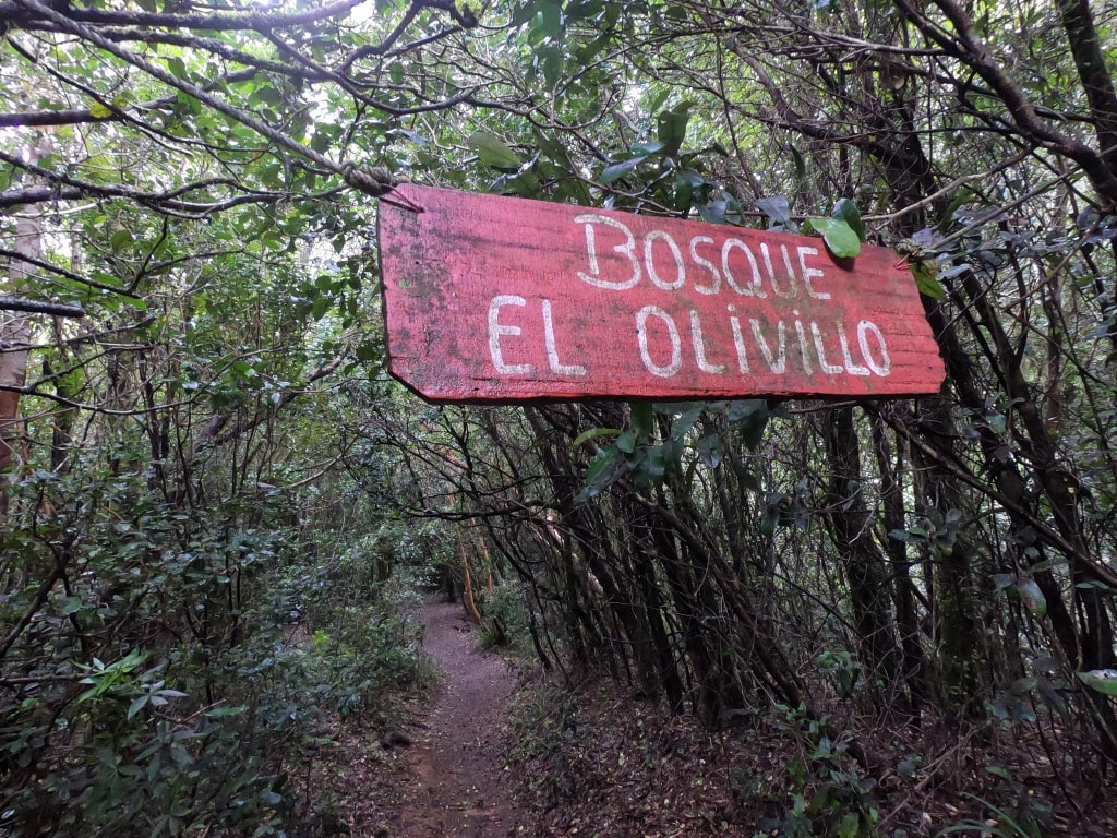 Area Protegida Punta Curiñanco