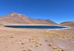 Tour Lagunas Altiplánicas San pedro de Atacama